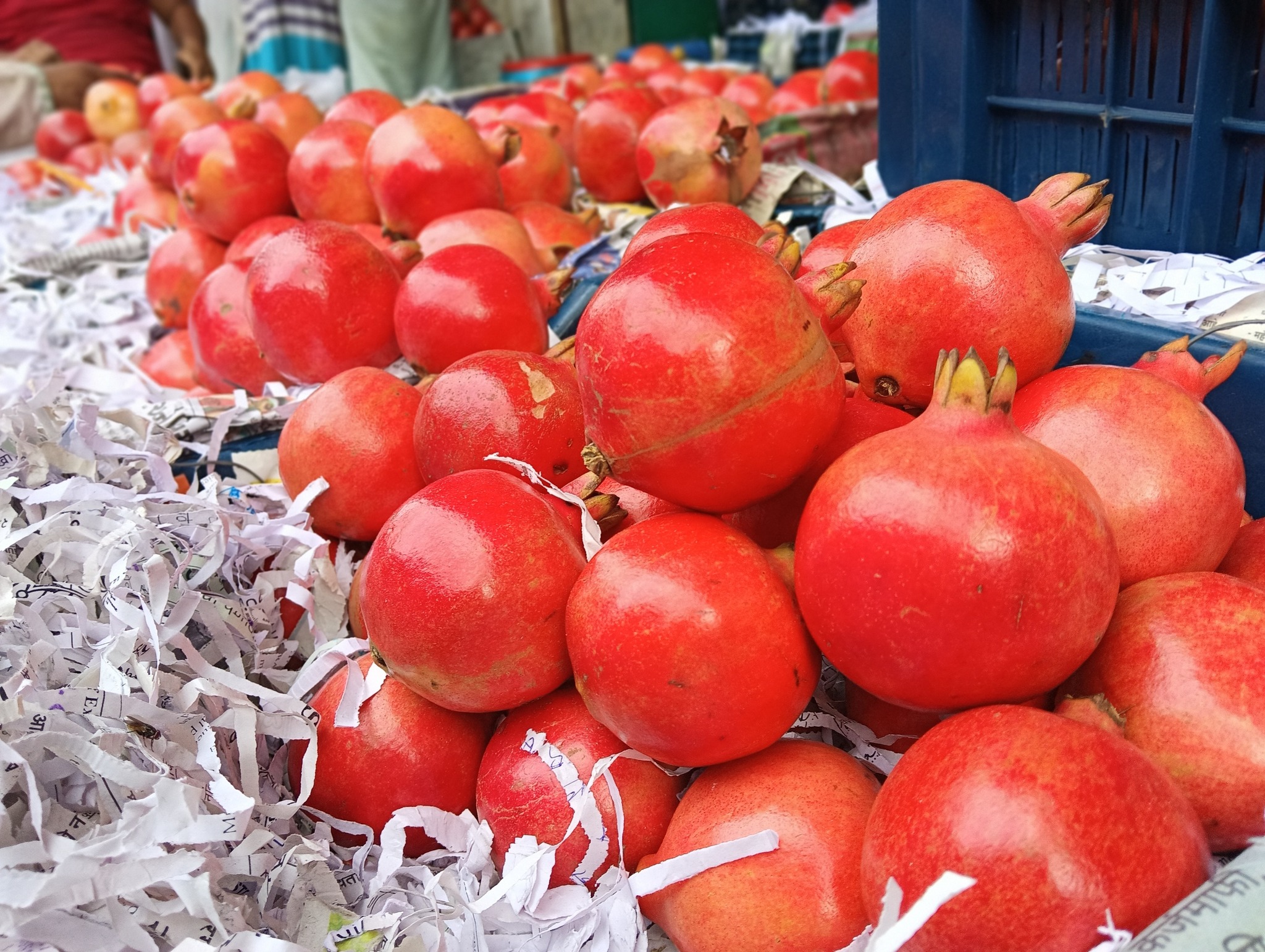Fresh Fruits Fresh Fruits