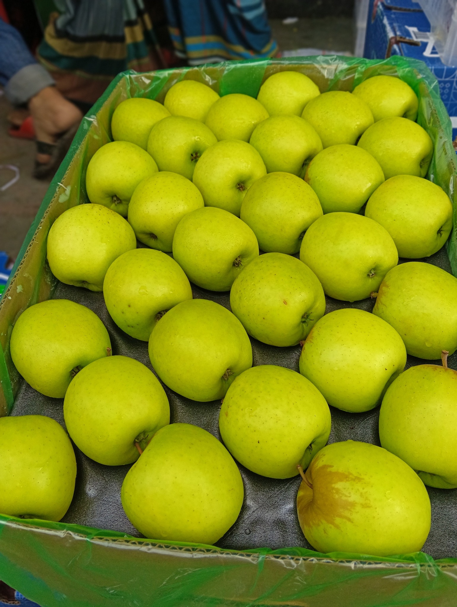 Apple Apple