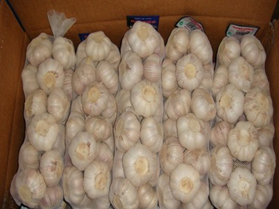 Garlic Price in Bangladesh